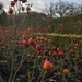20120122_1544_imgp5260[1]