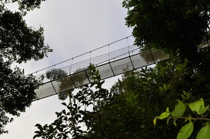 _DSC0307