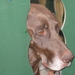 Cassie, de moeder