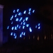 20120127.LichtjesGENT 026  Exotische Vogels