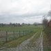 DSC00005 (2)