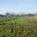 DSC00006 (1)