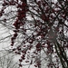 DSCN1376