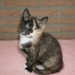 Marieke 2