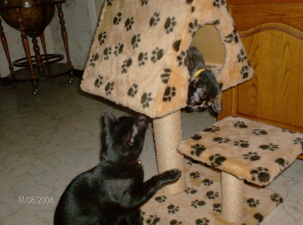 Ondertussen spelen met Gaspard