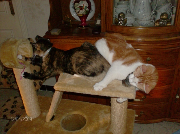 Marieke en Franske 12 april 2009