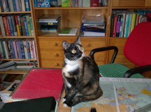 Marieke in de bibliotheek