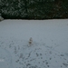 Floris in de sneeuw