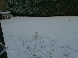 Floris in de sneeuw