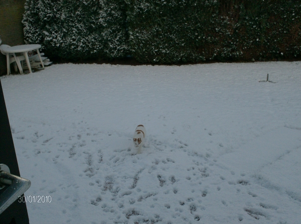Floris in de sneeuw