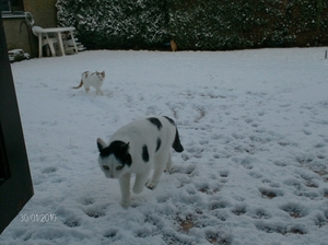 Witteke en Floris