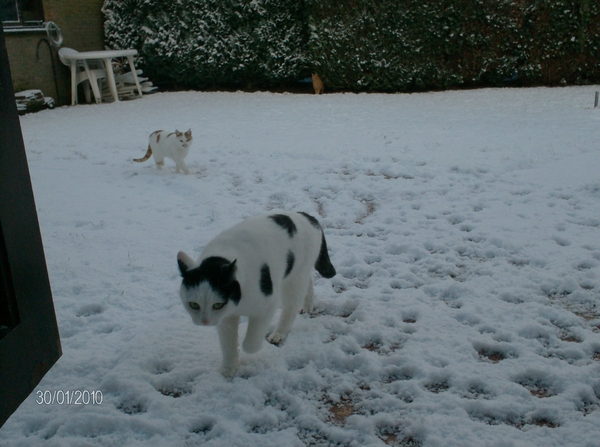 Witteke en Floris