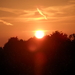 SAM_0381