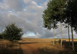 3 Weg naar Astorga 016