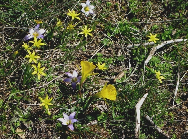 6 naar Foncebadon 042 4