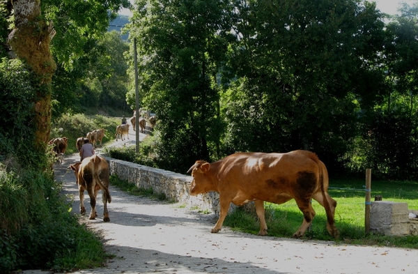 15 Hospital de Condesa 126 (6)