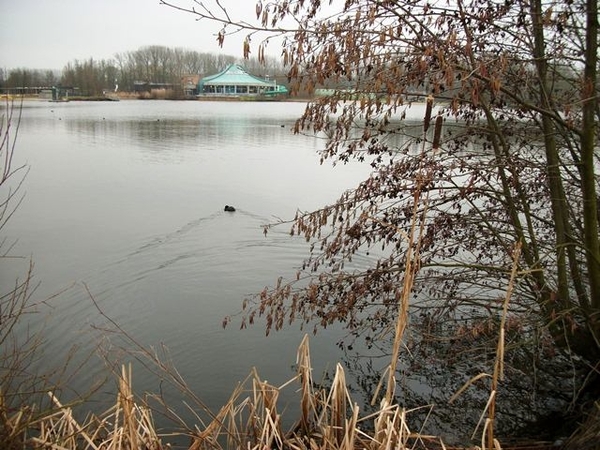 043-Het domein ligt rond een 20ha waterplas