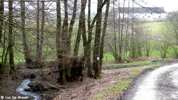 marche adeps wandeling Froidchapelle