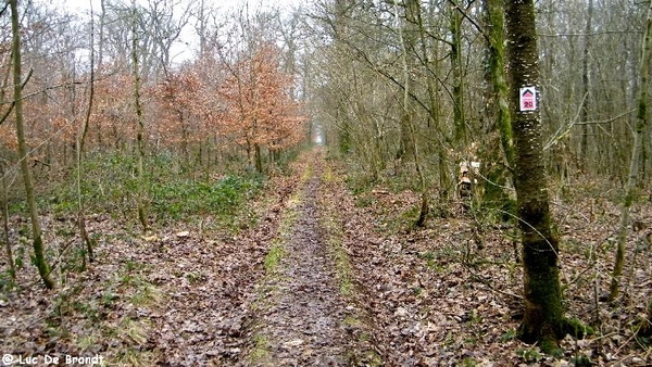 marche adeps wandeling Froidchapelle