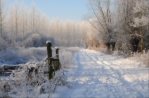 natuurgebied de kevie
