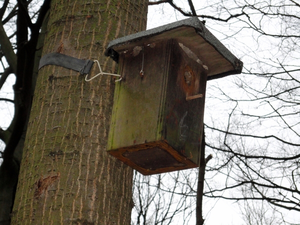 originele ( bos) woningen