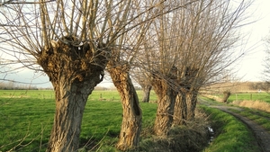 langs wandelwegen in Ursel