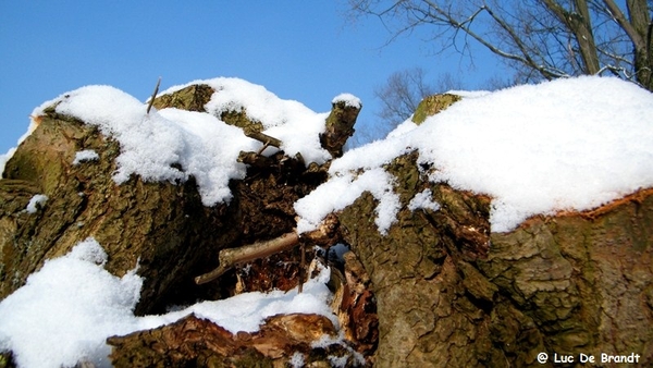 Wellemeersen Denderleeuw wandeling sneeuw