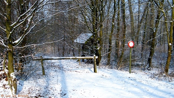 Wellemeersen Denderleeuw wandeling sneeuw