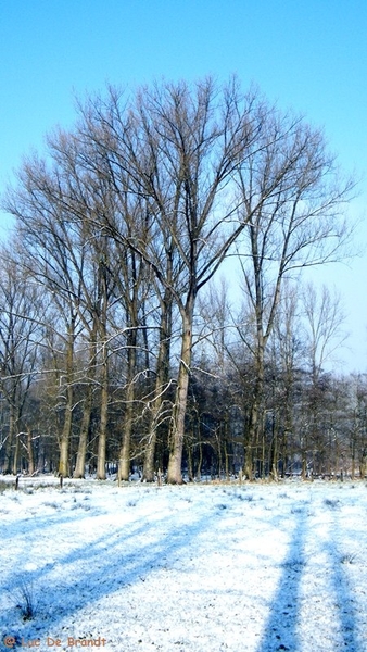 Wellemeersen Denderleeuw wandeling sneeuw