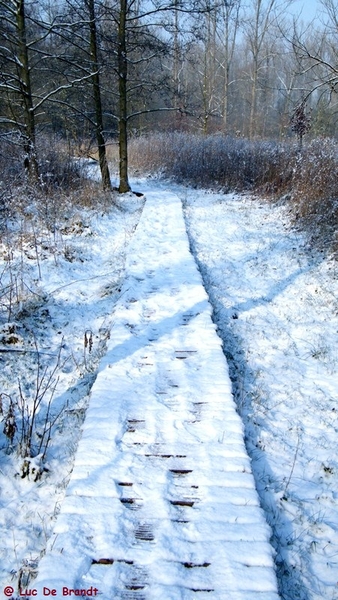 Wellemeersen Denderleeuw wandeling sneeuw