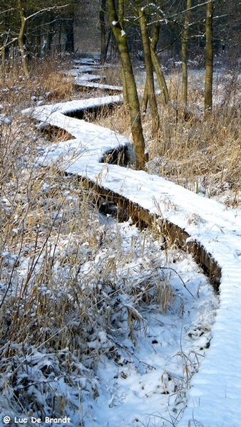 Wellemeersen Denderleeuw wandeling sneeuw