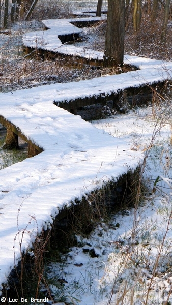 Wellemeersen Denderleeuw wandeling sneeuw