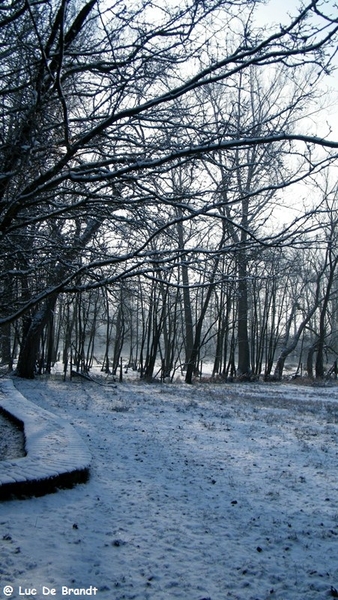 Wellemeersen Denderleeuw wandeling sneeuw