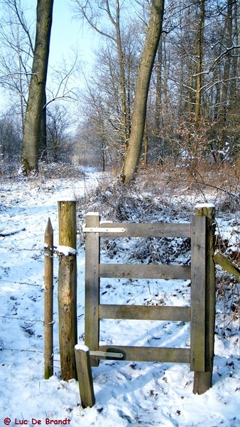 Wellemeersen Denderleeuw wandeling sneeuw