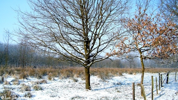 Wellemeersen Denderleeuw wandeling sneeuw