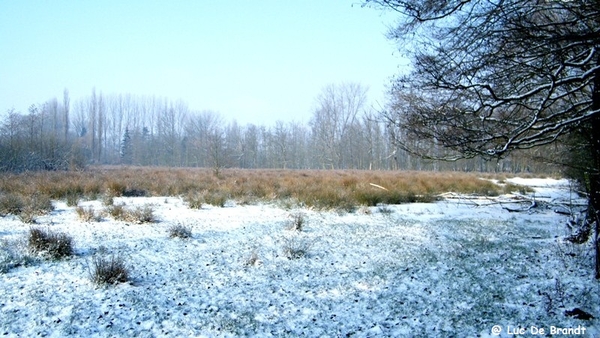 Wellemeersen Denderleeuw wandeling sneeuw