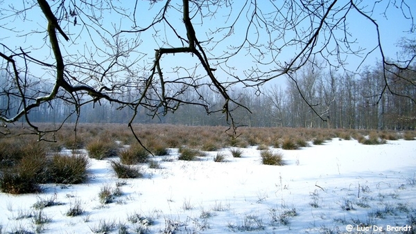 Wellemeersen Denderleeuw wandeling sneeuw