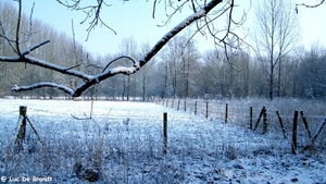 2012_02_04 Denderleeuw Wellemeersen 051