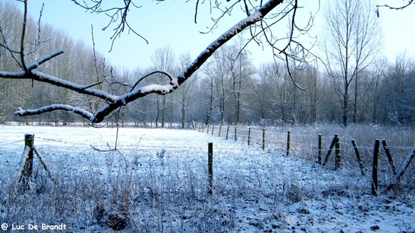 Wellemeersen Denderleeuw wandeling sneeuw