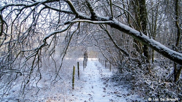 Wellemeersen Denderleeuw wandeling sneeuw