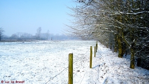 2012_02_04 Denderleeuw Wellemeersen 055