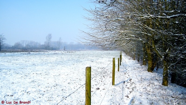 Wellemeersen Denderleeuw wandeling sneeuw