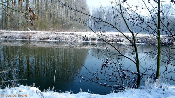 Wellemeersen Denderleeuw wandeling sneeuw