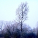 2012_02_04 Denderleeuw Wellemeersen 059