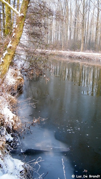 Wellemeersen Denderleeuw wandeling sneeuw