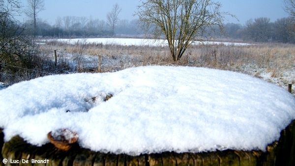 Wellemeersen Denderleeuw wandeling sneeuw