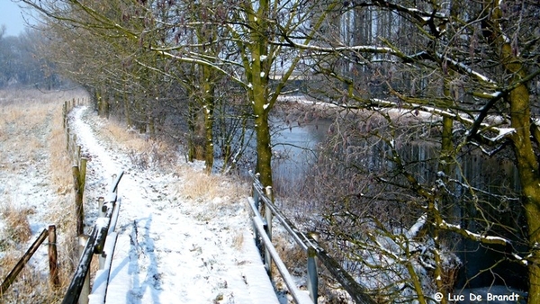 Wellemeersen Denderleeuw wandeling sneeuw