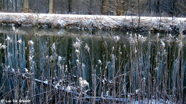 Wellemeersen Denderleeuw wandeling sneeuw