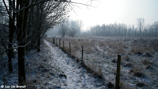 Wellemeersen Denderleeuw wandeling sneeuw