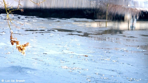 Wellemeersen Denderleeuw wandeling sneeuw